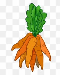 Garden Clipart Carrot Transparent Free For - Bunch Of Carrots Clipart Png,Carrot Transparent Background