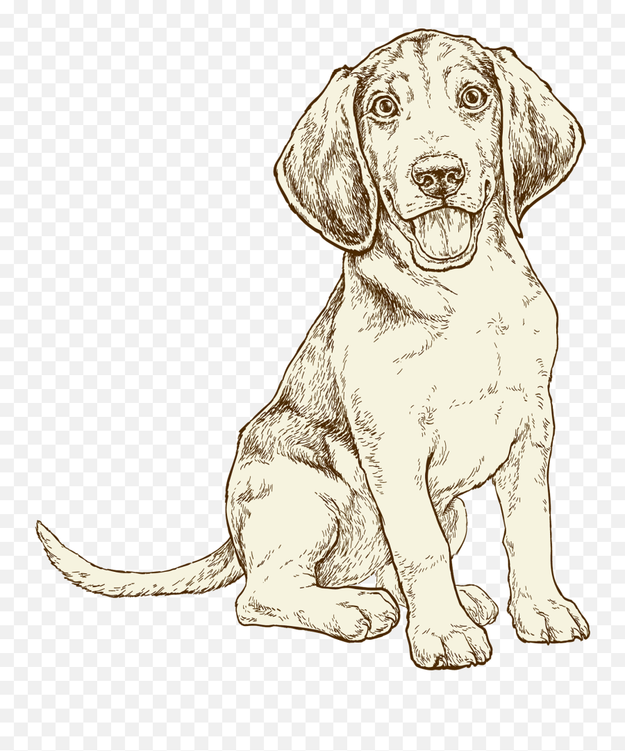 Now Fresh Grain - Free Puppy Recipe Hound Png,Puppy Live Wallpaper Icon