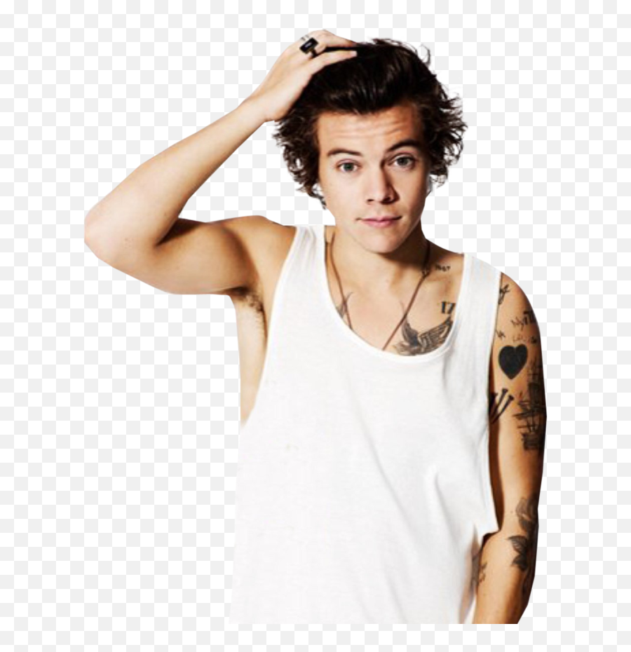 Download Harry Styles Transparent Png - Harry Styles 2013 Harry Styles 2013 Png,Harry Icon