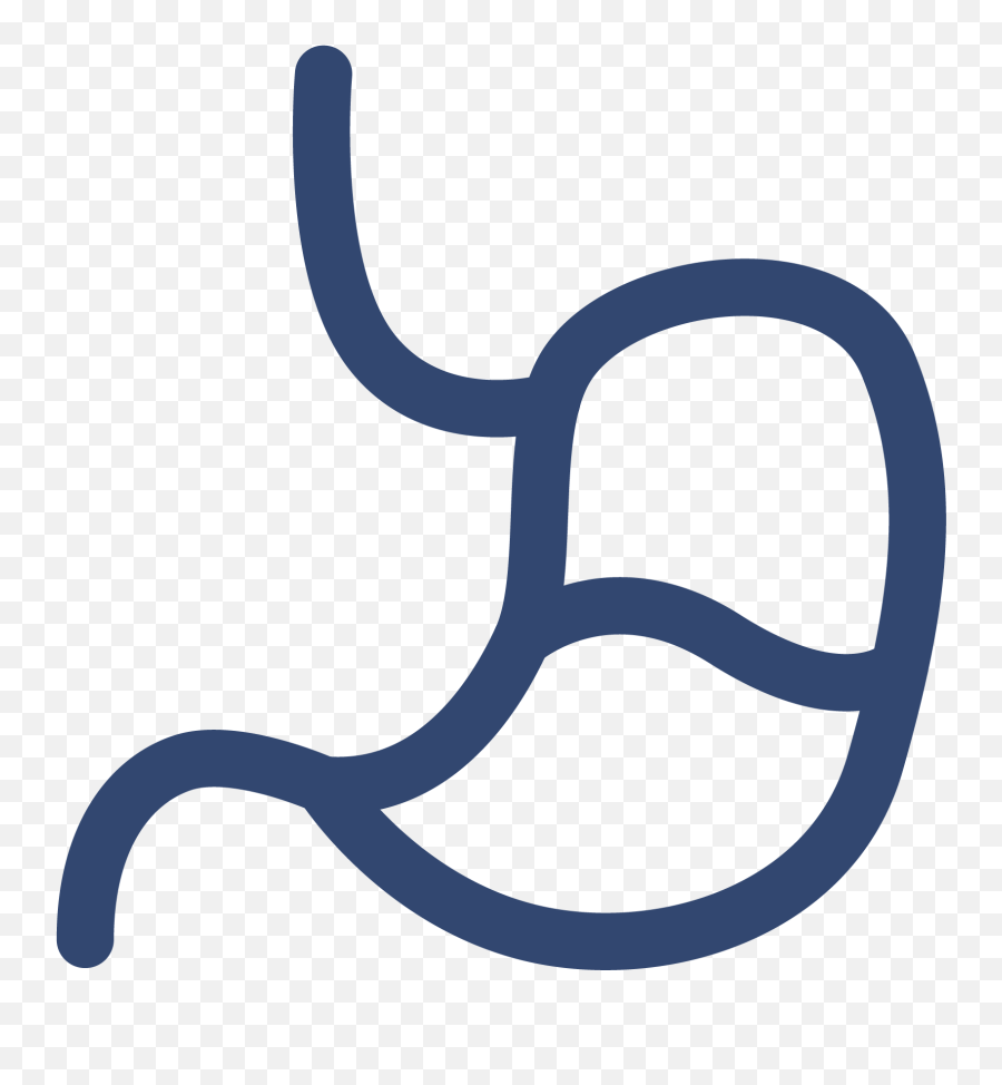 Probiotics And Flora - Language Png,Full Stomach Icon