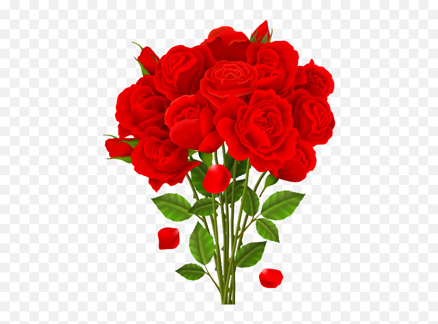 Vector Png Transparent Background - Rose Bouquet Illustration,Transparent Png Images Download