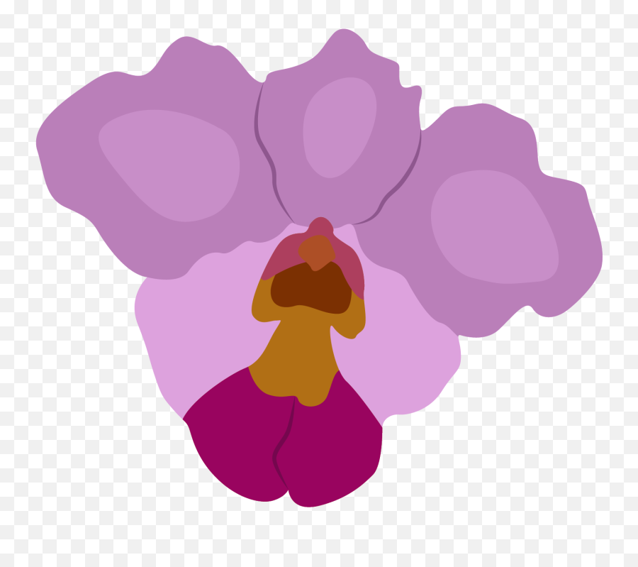 Papilionanthe Teres Flower Graphic By Archshape Creative Png Orchid Icon