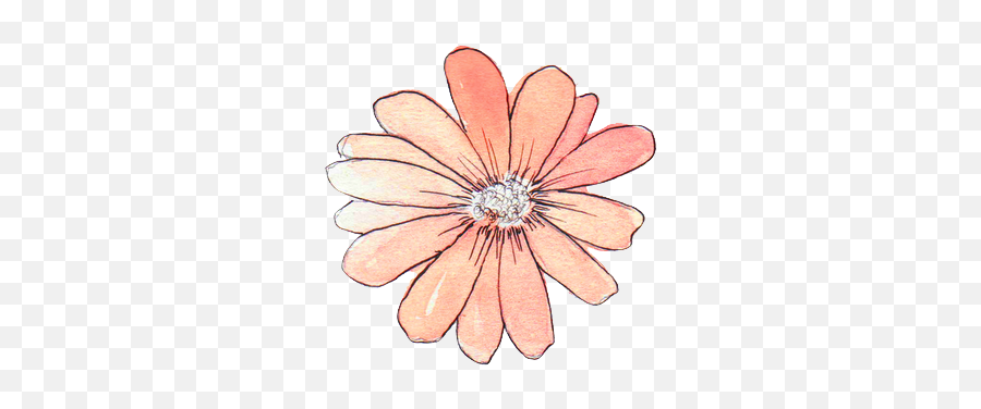 Flower Overlay Png Transparent Free For - Sticker Flower Aesthetic,Tumblr Overlays Png
