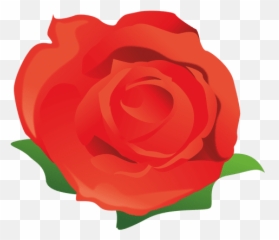 Red Rose Cartoon - Transparent Png U0026 Svg Vector File Rose Cartoon Transparent Background,Flower Cartoon Png