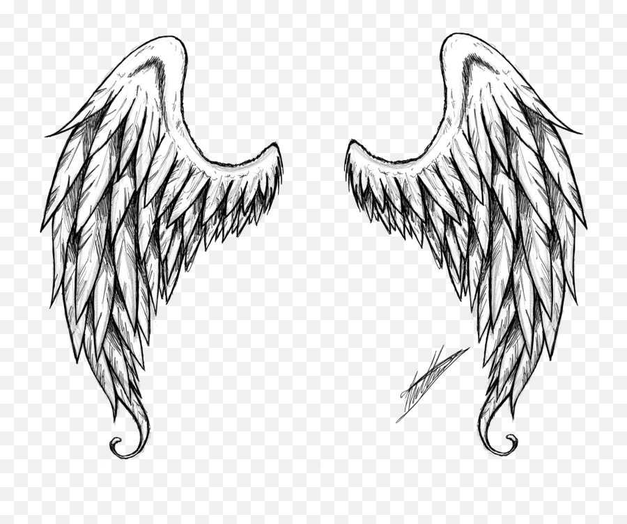 Wings Png Image Download White