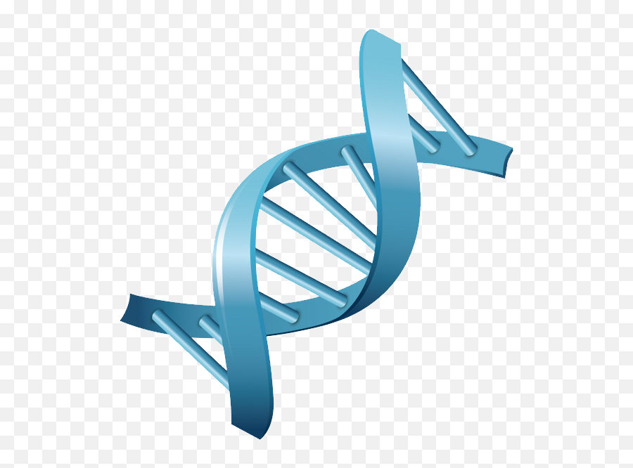 Dna Png Transparent - Dna Molecules Transparent Background Biology Vector,Dna Png