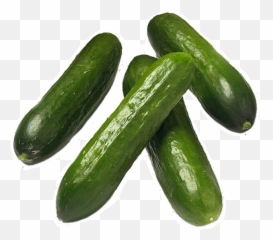 Hd Zucchini Png Transparent Image - Cucumbers,Zucchini Png
