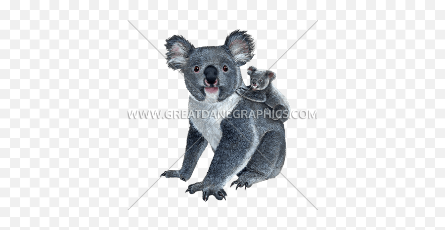 Koala Family Production Ready Artwork For T - Shirt Printing Koala Png,Koala Transparent
