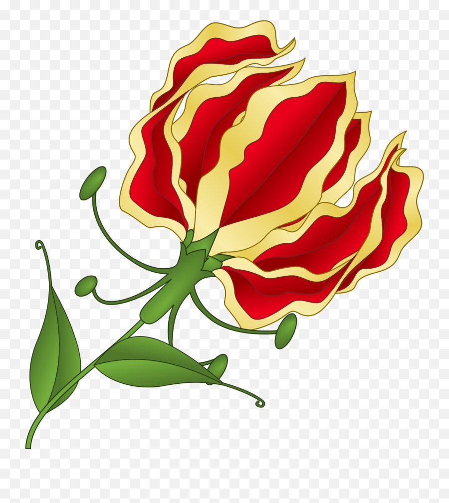 Flame Lily - Flame Lily Png,Lily Png