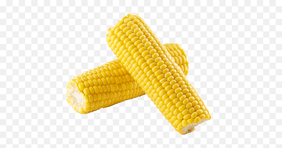 Corn - Onthecob Chicken Cottage Corn In The Cob Transparent Png,Corn Cob Png