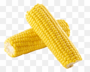 Corn - Onthecob Chicken Cottage Corn In The Cob Transparent Png,Corn Cob Png