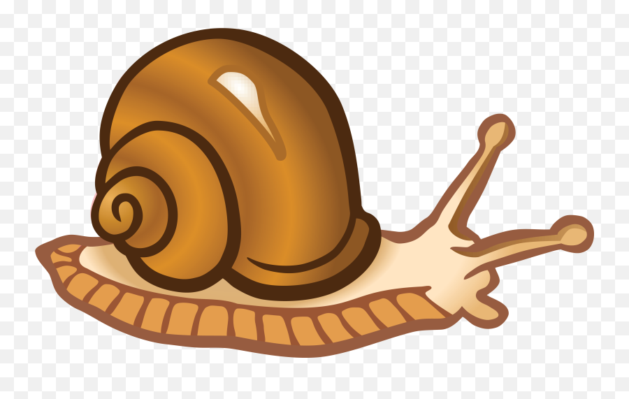 Transparent Snail Clipart Png - Snail Png Clipart,Snail Png