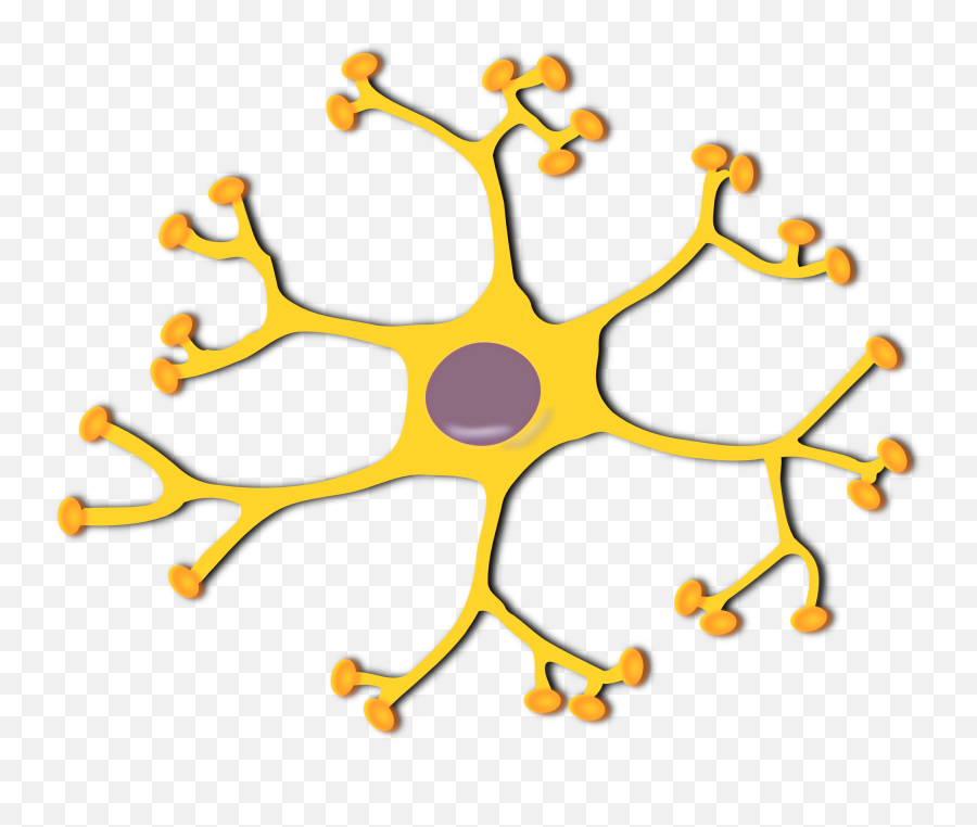 Pixabay Neuron - Brain Cells Clipart Png,Neuron Png