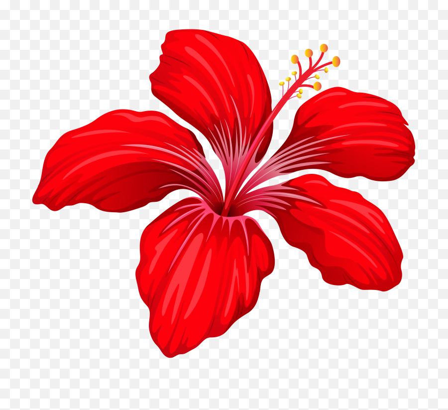 Download Hd Exotic Red Flower Png Image - Clipart Red Flowers Png,Hibiscus Flower Png