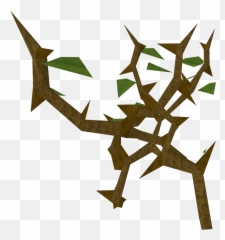 Jungle Vines Png Transparent - Portable Network Graphics,Jungle Png
