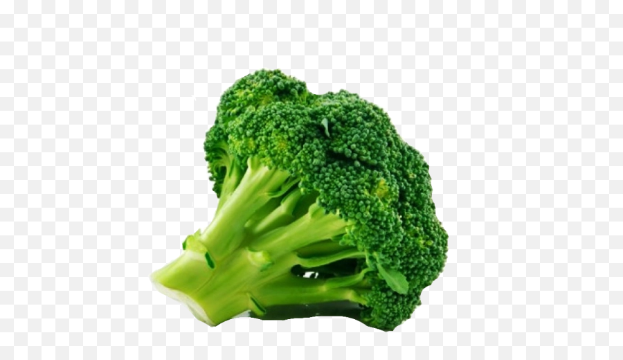 Download Free Png Broccoli - Backgroundtransparent Dlpngcom Png,Broccoli Transparent Background