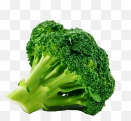 Download Free Png Broccoli - backgroundtransparent DLPNGcom Png