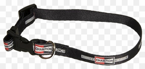 Dog Collar - Camera Strap Png,Dog Collar Png