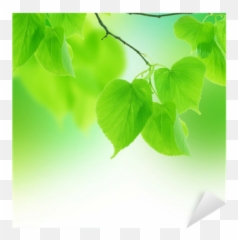 Green Leaves Border Sticker U2022 Pixers - We live to change Wallpaper png