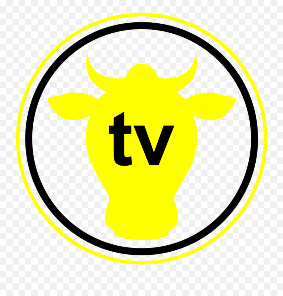 Google Chromecast Tv Channel - Tvn Style Png,Chromecast Logo