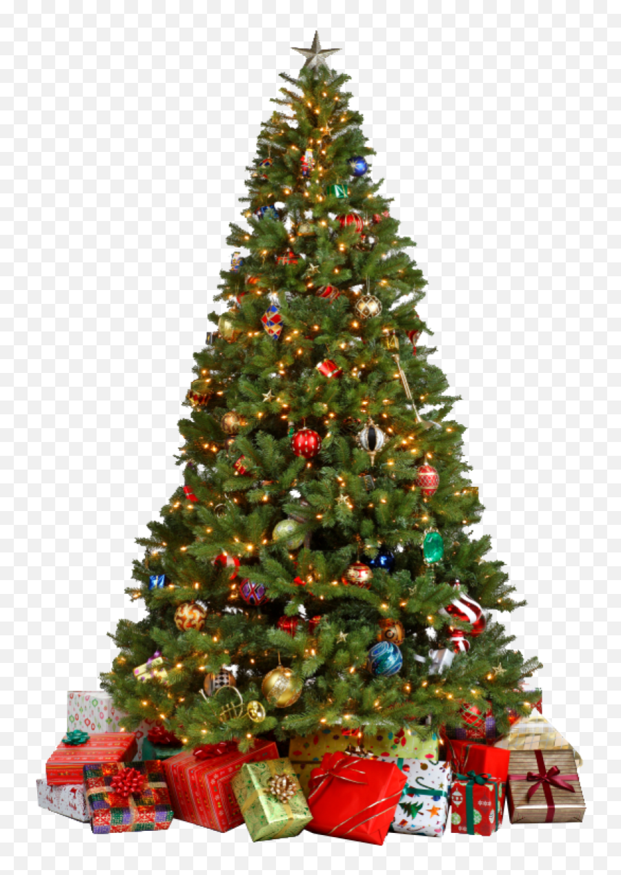 Christmas Tree With Gifts Png Image