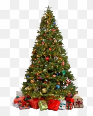Christmas Tree With Gifts Png Image