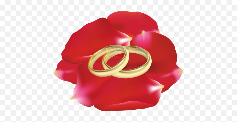 Wedding Rings In Rose Petals Png Clip - Wedding Rings In Rose Flower,Rose Petals Transparent