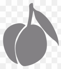 Gray Peach Icon - Free gray fruit icons Black Peach png