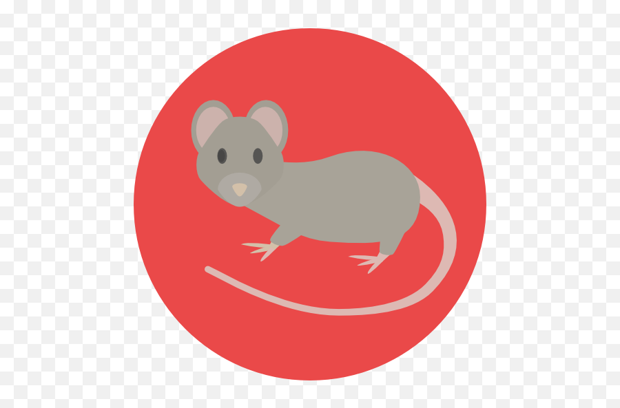 Mouse - Rat Icon Circle Png,Mouse Rodent Icon
