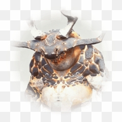 Melted Iron Shard - BDO Codex Elephant Beetle png