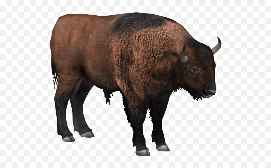 Ice Age Pack - Zoo Tycoon 2 Forumsclub Bison Bonasus Zoo Tycoon 2 Png,Zoo Tycoon 2 Icon