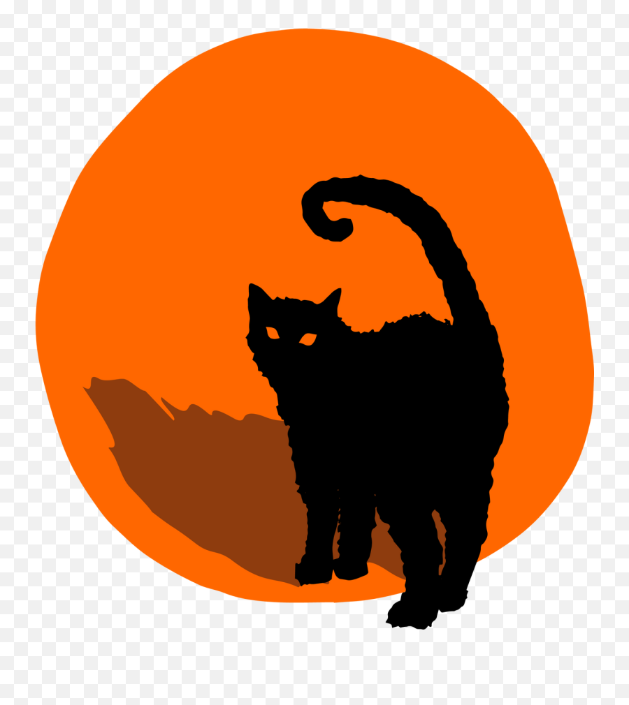 Submission Terms Screen Culture International Film Festival - Cat Png,Halloween Cat Icon