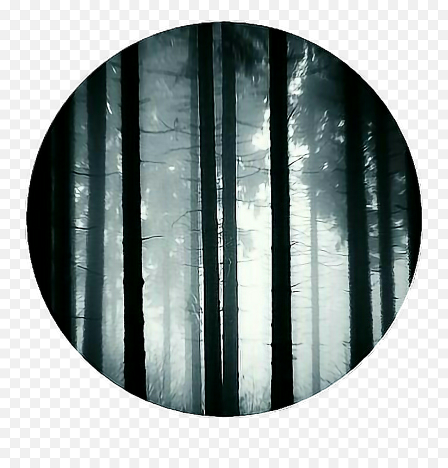 Download Circle Dark Forest Scary Icon Base Iconbackground - Dark Forest Icon Png,Icon Base