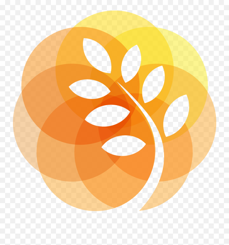 Generate Favicon For Modern Browsers And Devices Using - Growth Abstract Logo Png,Apple Icon Size
