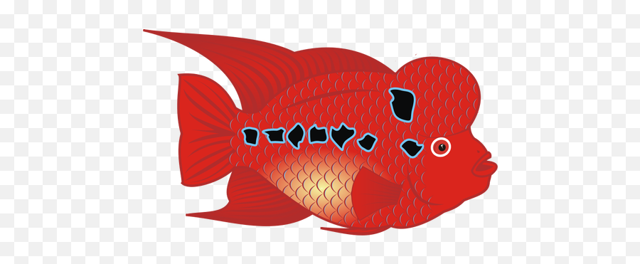 Flowerhorn Fish Vector Public Domain Vectors - Flowerhorn Fish Clipart Png,Site:www.softpedia.com Get Multimedia Graphic Editors Greenfish Icon