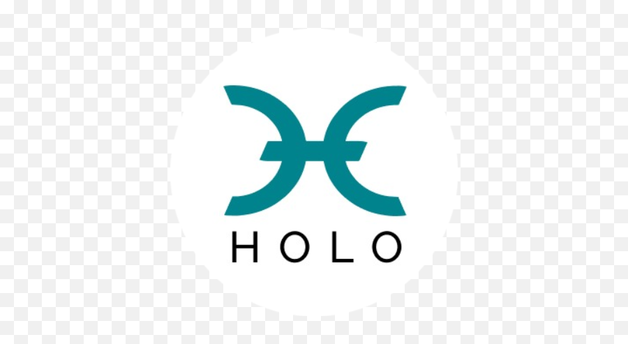 List Of Tokens Working - Holochain Holo Coin Png,Token Icon