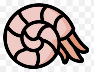 Shell Snail Seashell Nautilus Insect Free Icon - Dzie Liczby Pi Gazetka png