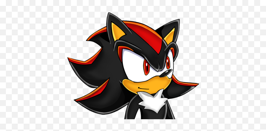 If Shadow Missed The Rail - Shadow The Hedgehog Photo Shadow X Child Reader Png,Calcifer Icon