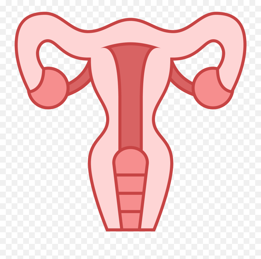 This Icon Represents The Uterus Of A - Difference Between Pcos And Pcod Png,Vagina Png