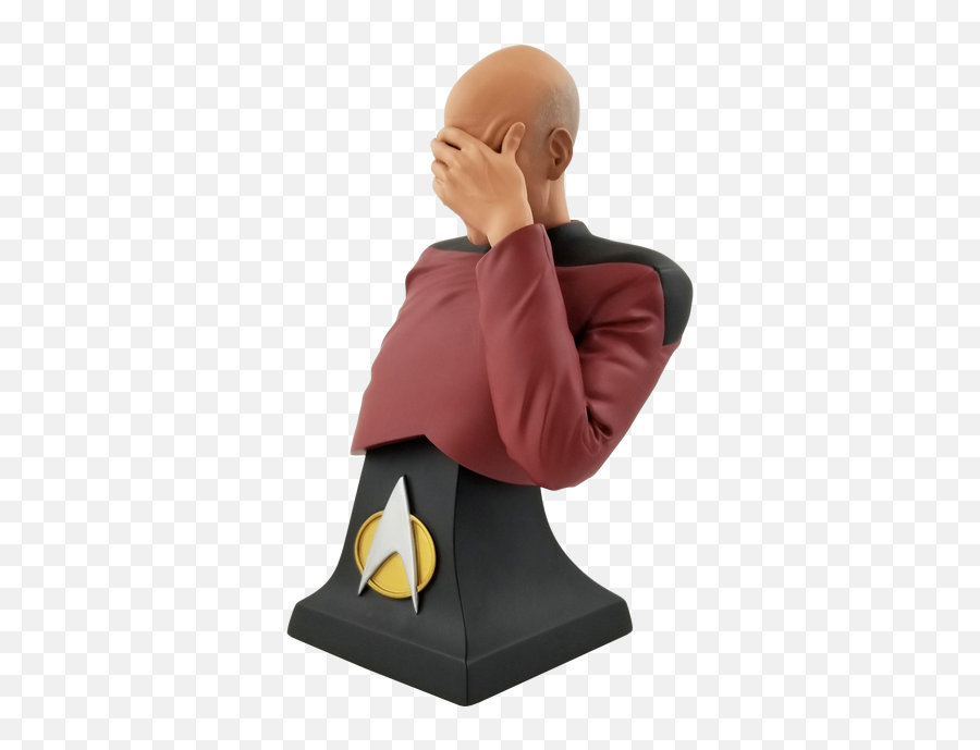 Star Trek The Next Generation Picard Facepalm Limited Edition Bust - San Diego Comiccon 2020 Previews Exclusive Png,Icon Heroes Wonder Woman