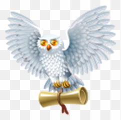 Harry Potter And The Half - Blood Prince png