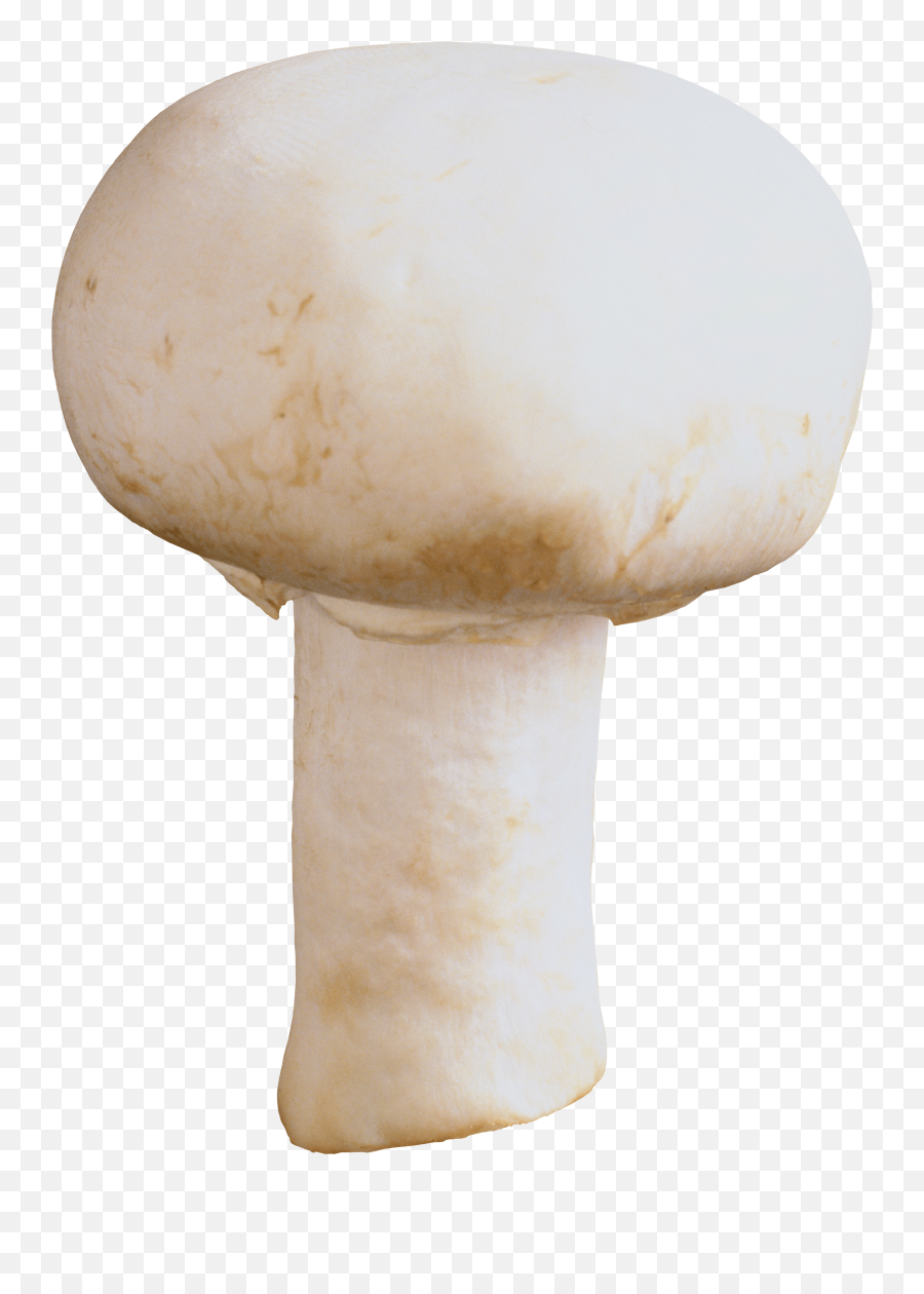 Download Mushroom Png Image Hq - White Mushroom Png,Mushroom Png