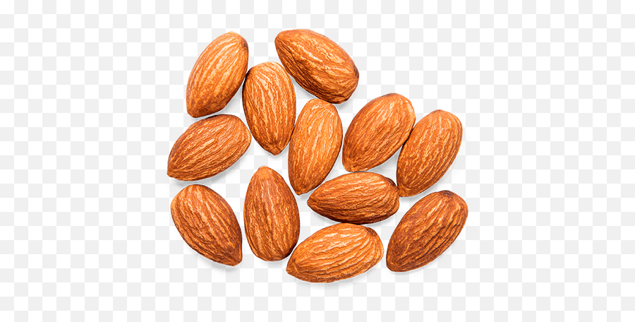 Almond Png - Almond Seeds Png,Seed Png
