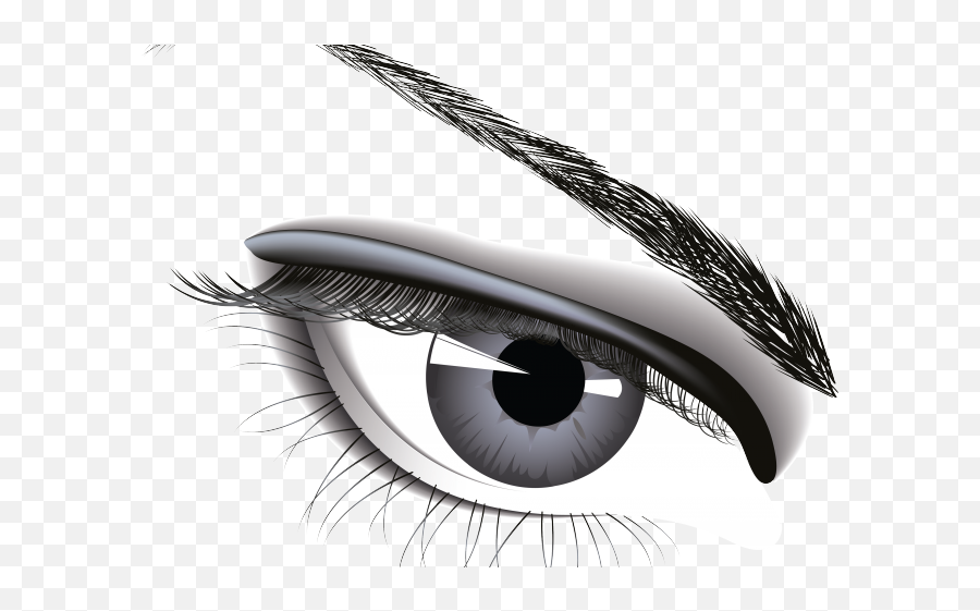 Eye Ball Png - Transparent Realistic Eye Png,Realistic Eye Png