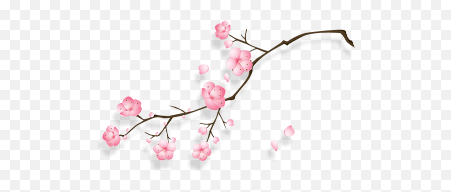 Cherry Blossom Transparent Png Image - Cherry Blossom Cny Png,Blossom Png