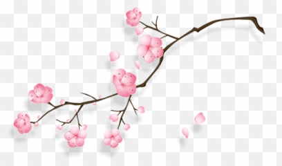 free transparent blossom png images page 1 pngaaa com free transparent blossom png images