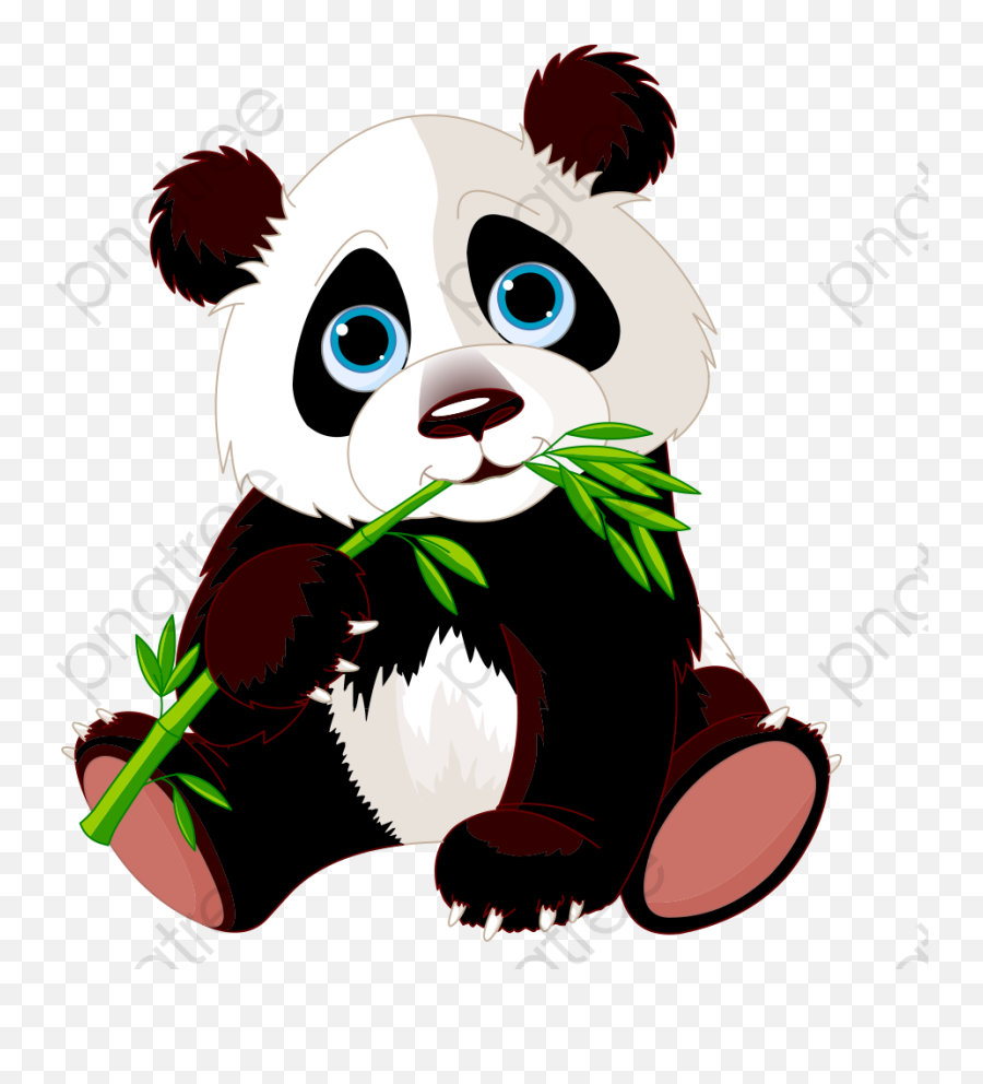 Cartoon Panda Bear - Transparent Background Panda Bear Clipart Png,Panda Cartoon Png
