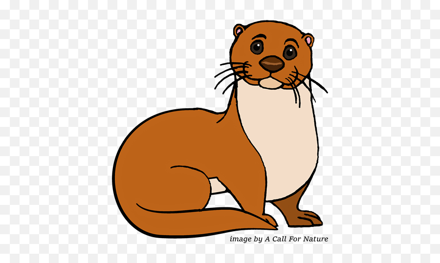 Library Of Weasle Otter Jpg Download Png Files - Cartoon,Weasel Png