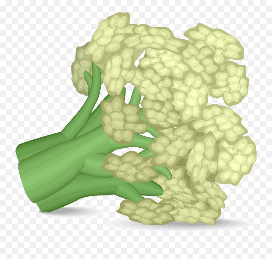 Cauliflower - Califlour Clipart Png,Cauliflower Png