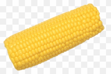 Corn Cob Psd Official Psds - Corn On The Cob Png,Corn Cob Png